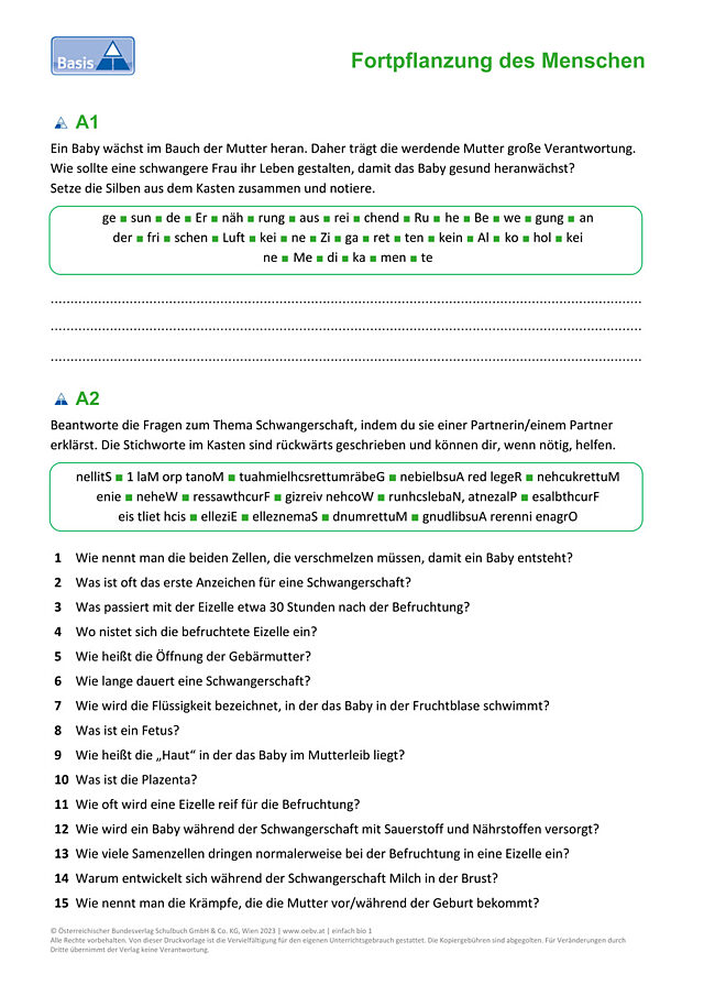Schwangerschaft