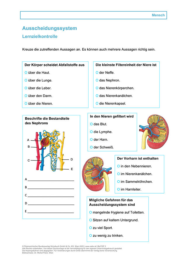 Ausscheidungssystem