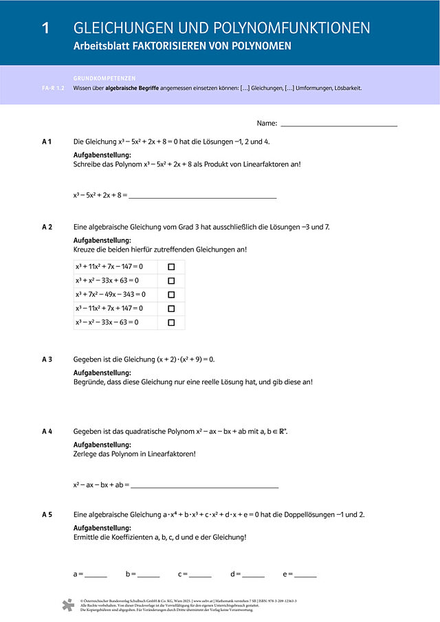 Faktorisieren von Polynomen