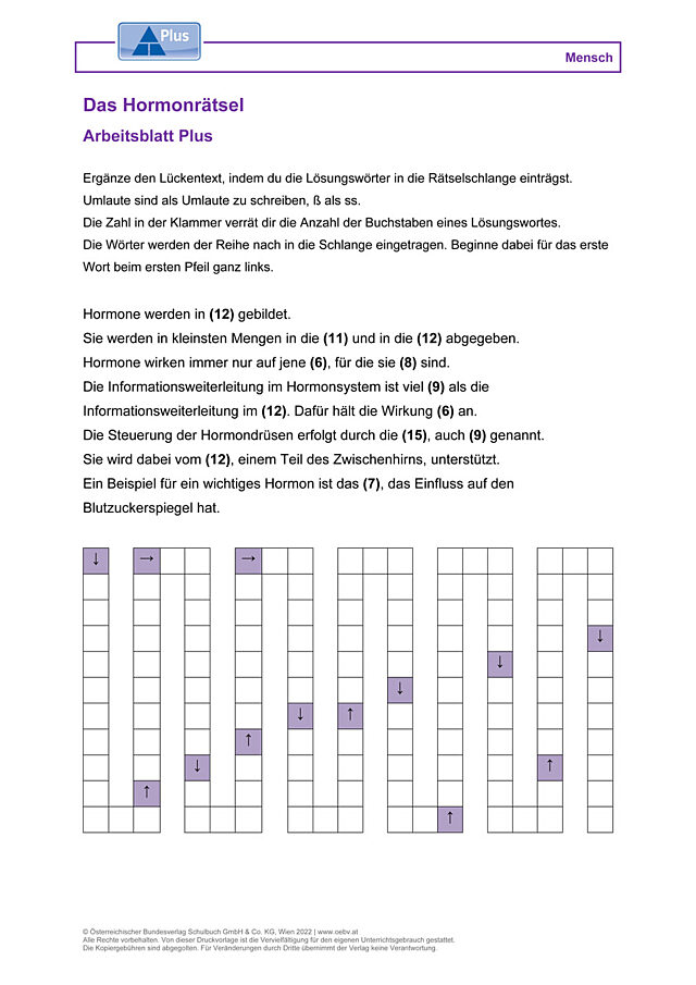 Das Hormonrätsel