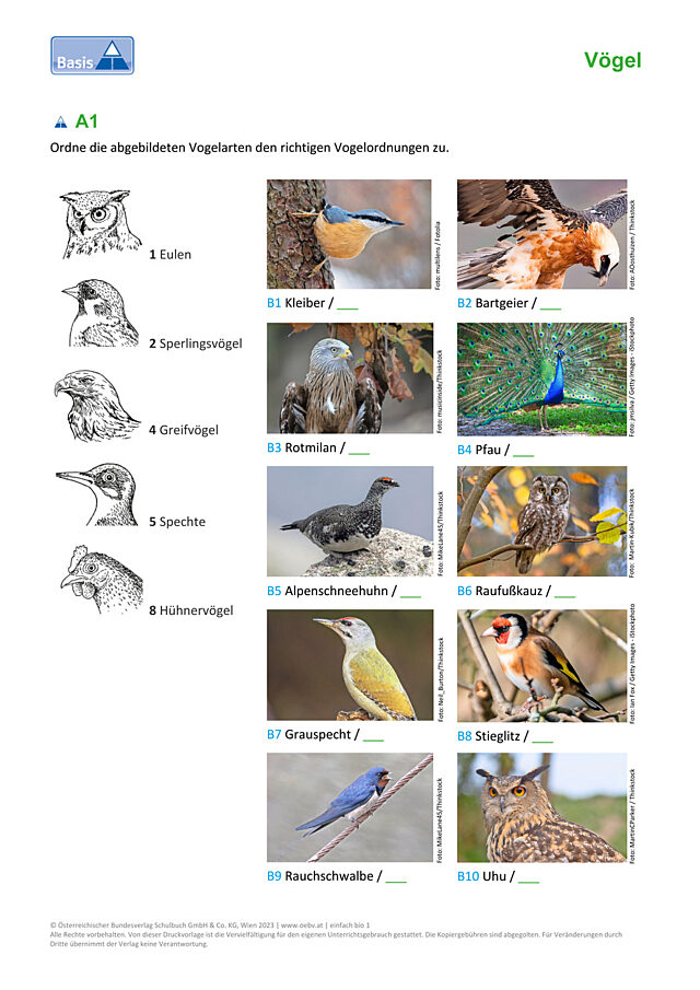 Vogelordnungen
