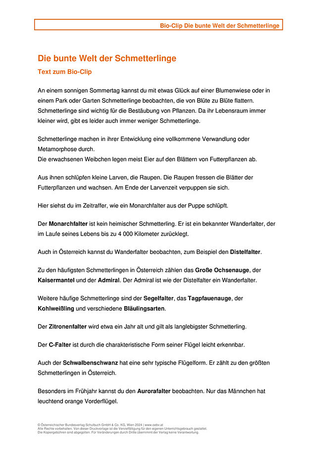 Schmetterlinge