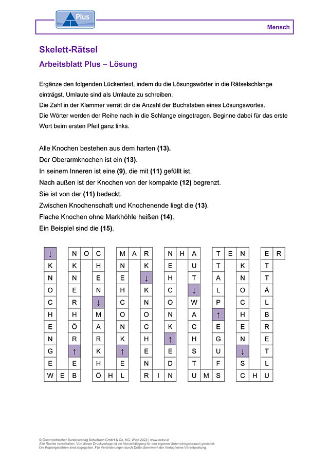 Skelett-Rätsel