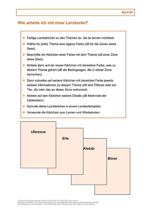 Wie arbeite ich mit einer Lernkartei?