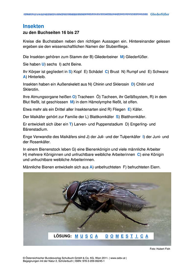 Insekten
