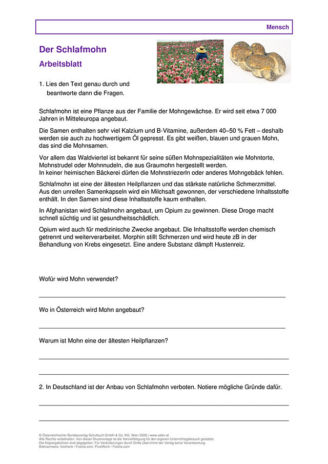 Schlafmohn