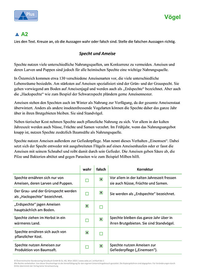 Spechte