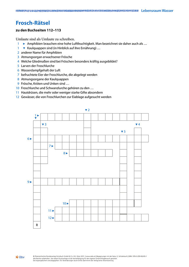 Frosch-Rätsel