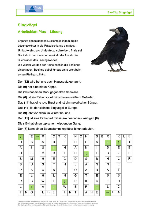 Singvögel