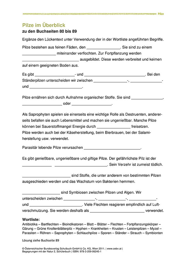 Pilze im Überblick