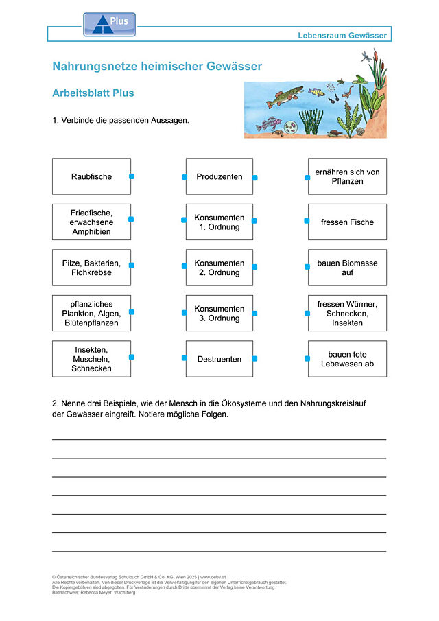 Nahrungsnetze heimischer Gewässer
