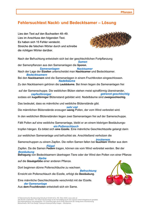 Nackt- und Bedecktsamer