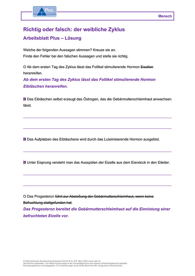 Richtig oder falsch: der weibliche Zyklus