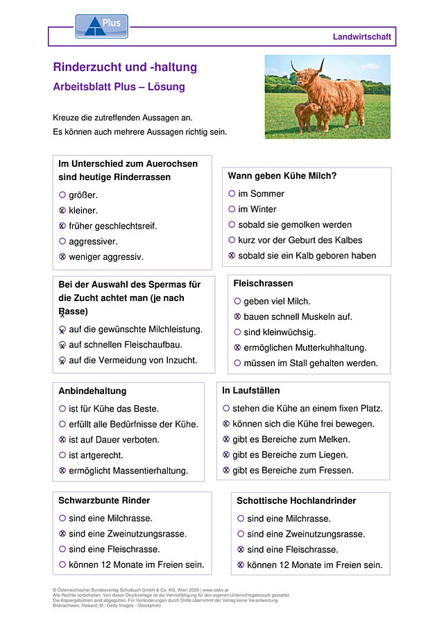 Rinderzucht und -haltung