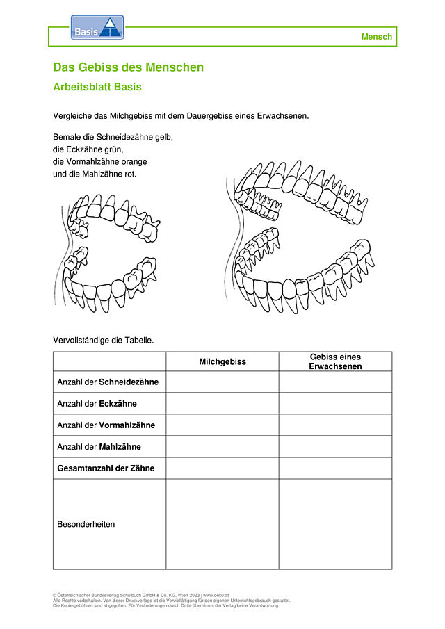Verdauung