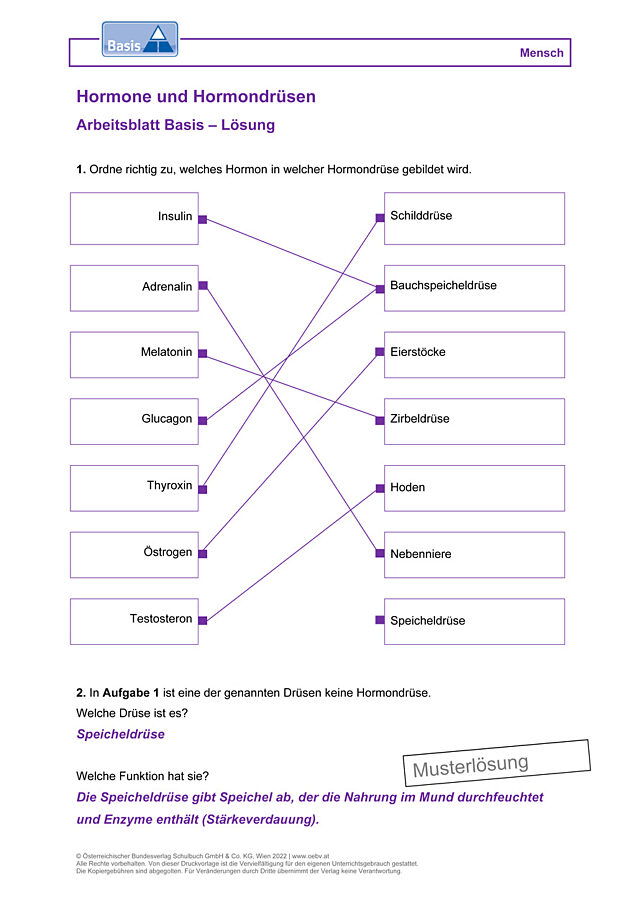 Hormone und Hormondrüsen