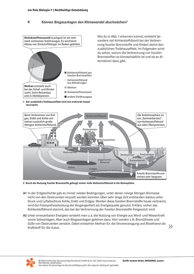 Können Biogasanlagen den Klimawandel abschwächen?
