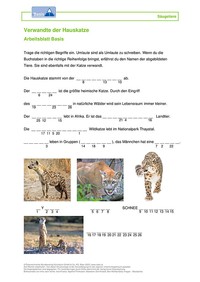 Hauskatze Verwandte