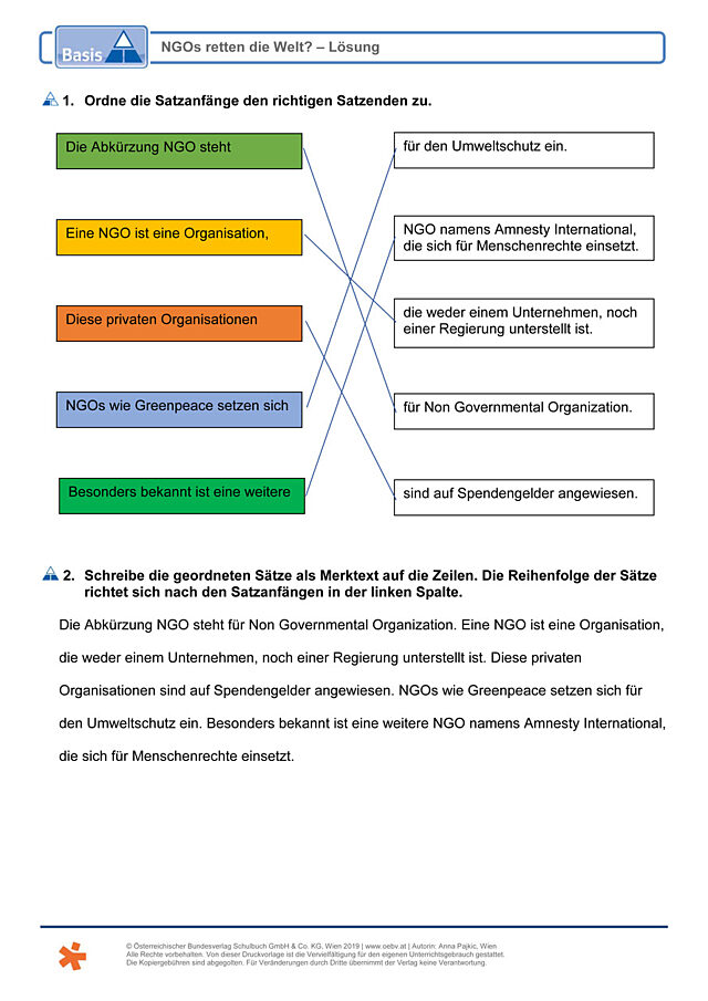 NGOs retten die Welt?