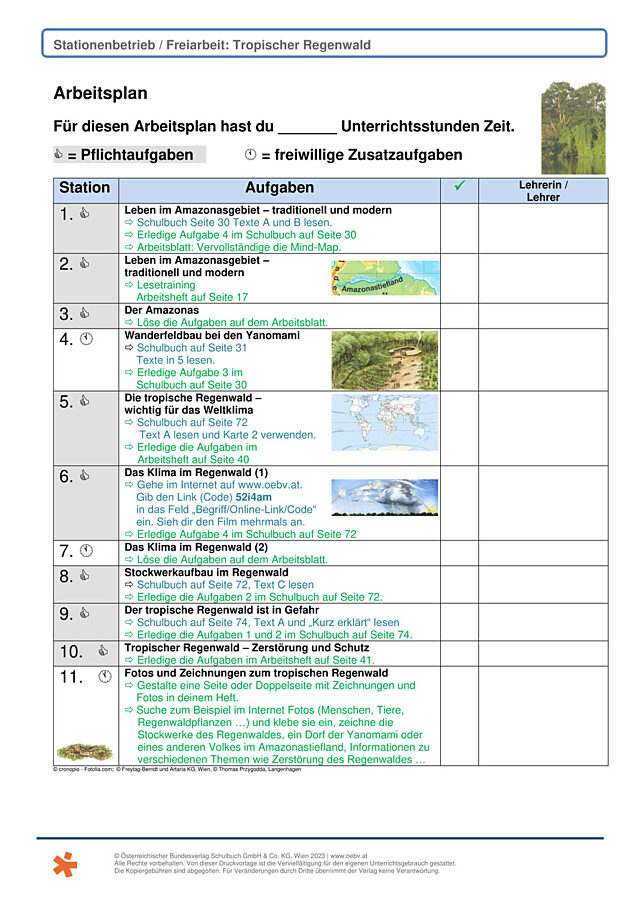 Der tropische Regenwald