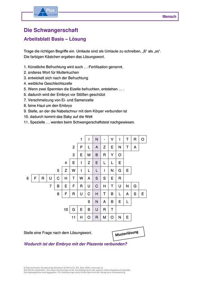 Schwangerschaft