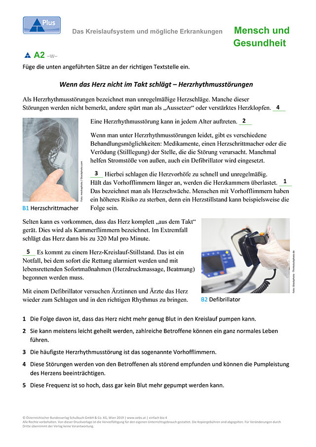 Kreislaufsystem