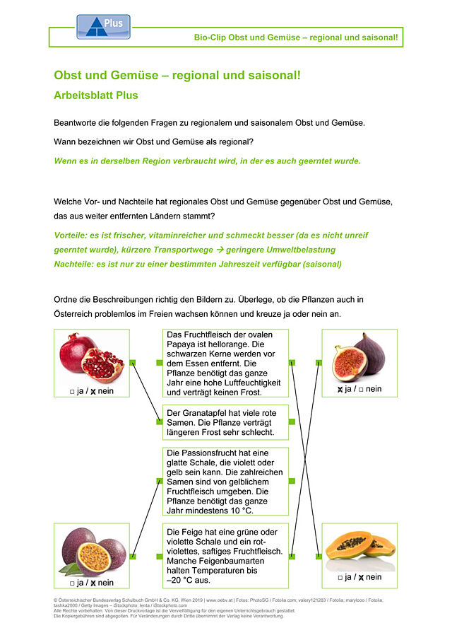Obst und Gemüse – regional und saisonal!