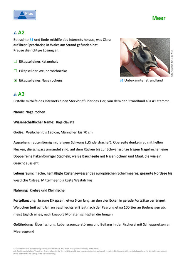 Tiere des freien Wassers