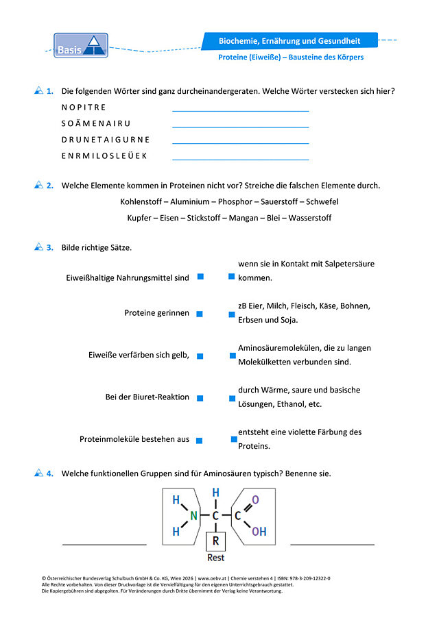 Proteine (Eiweiße) – Bausteine des Körpers