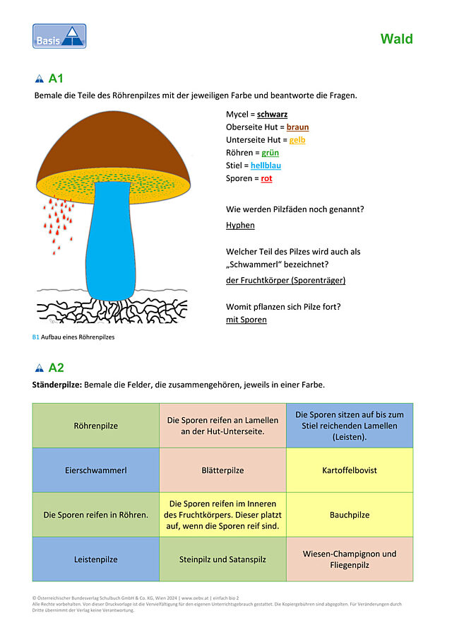 Pilze