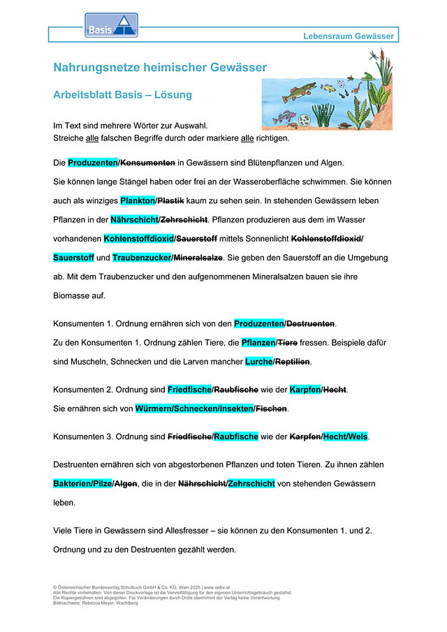 Nahrungsnetze heimischer Gewässer
