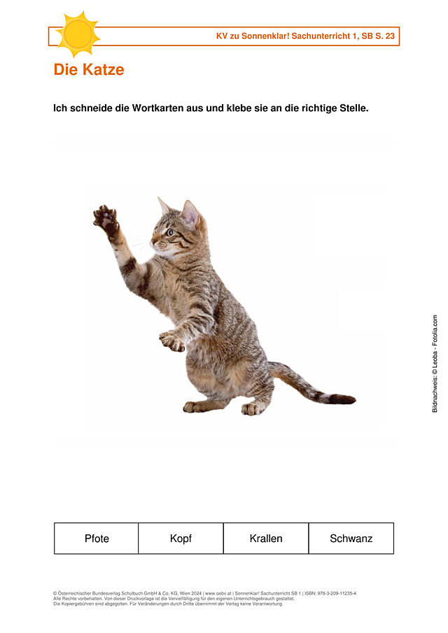 Die Katze