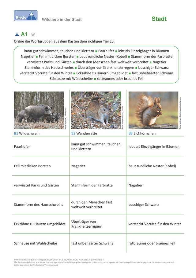 Wildtiere in der Stadt