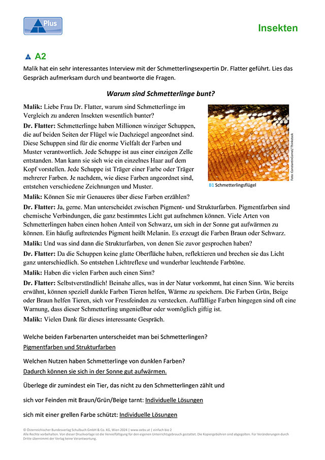 Schmetterlinge