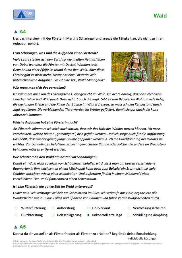 Wald Funktionen