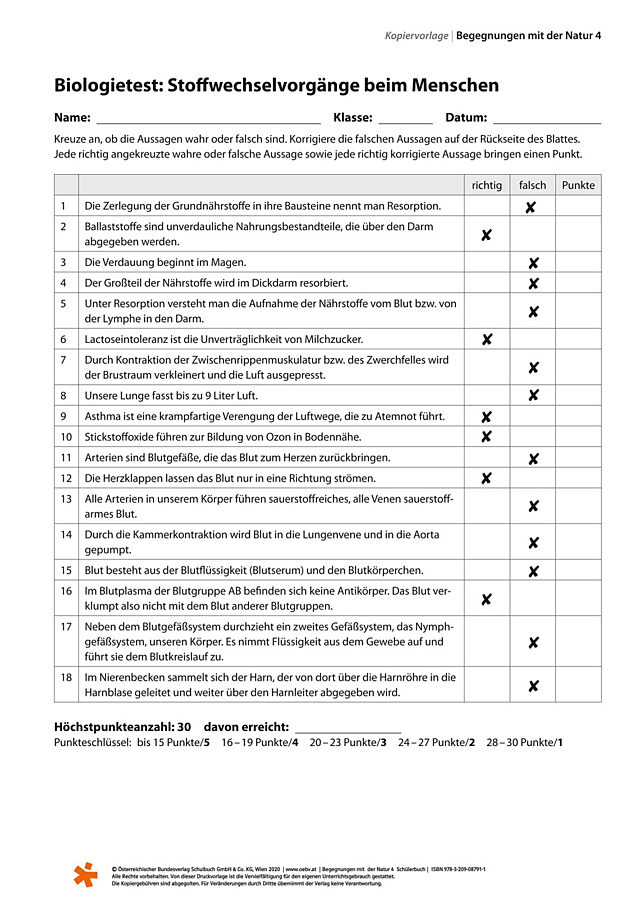 Stoffwechselvorgänge beim Menschen