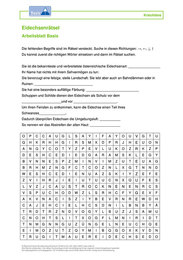 Eidechsen