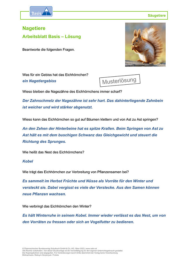 Nagetiere