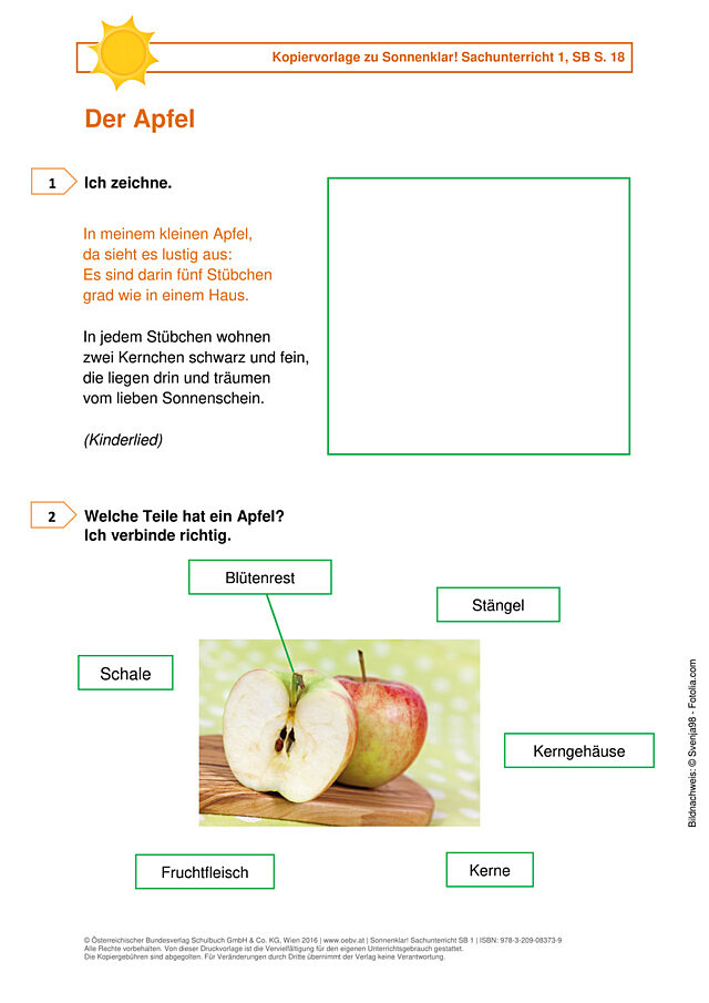 Der Apfel