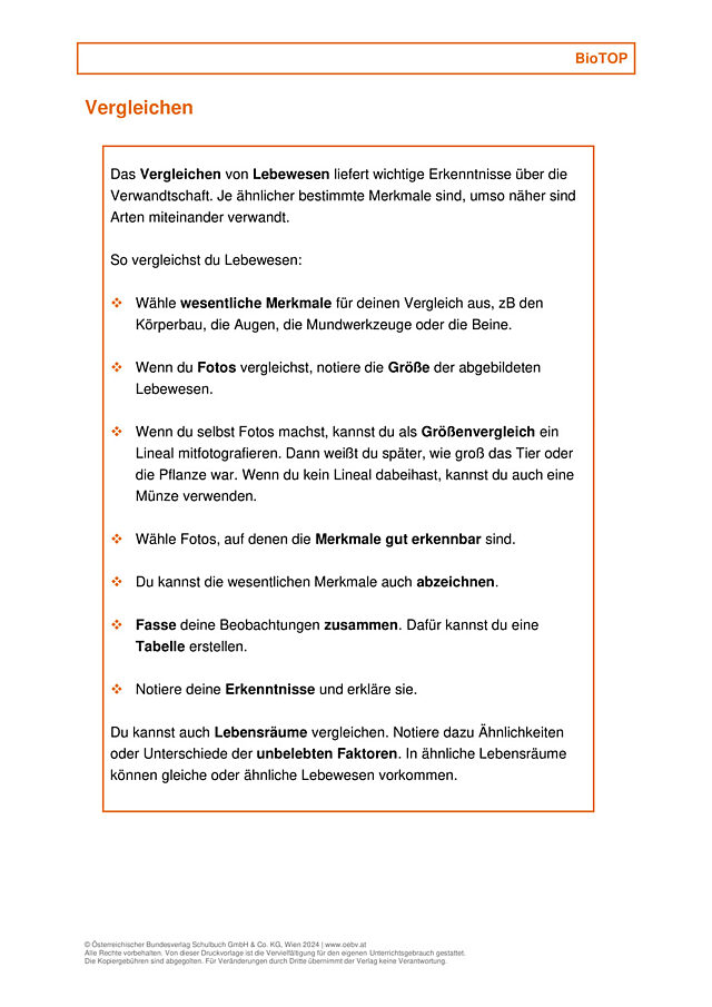 Vergleichen