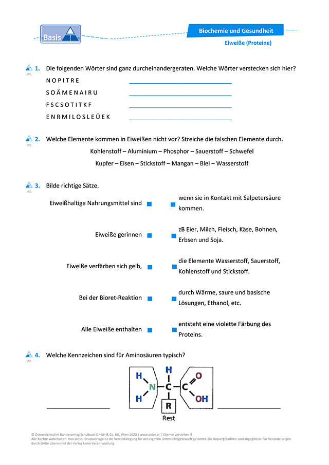 Eiweiße (Proteine)