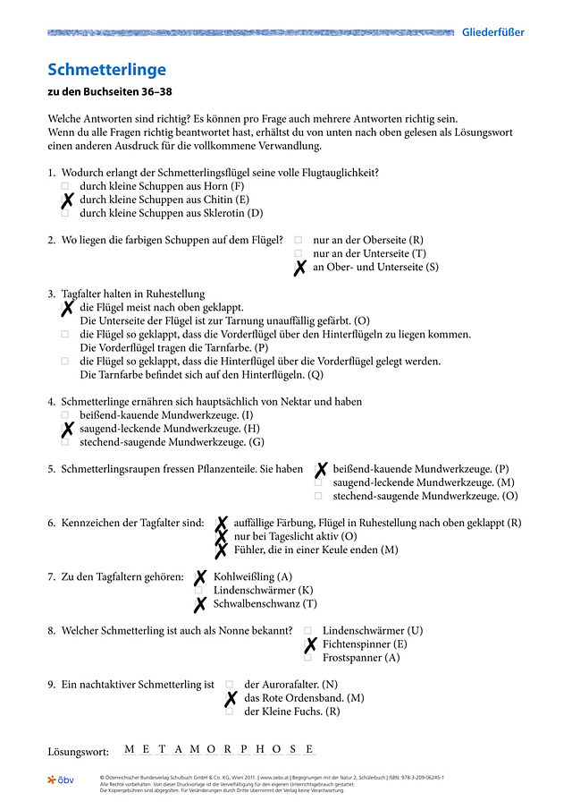 Schmetterlinge