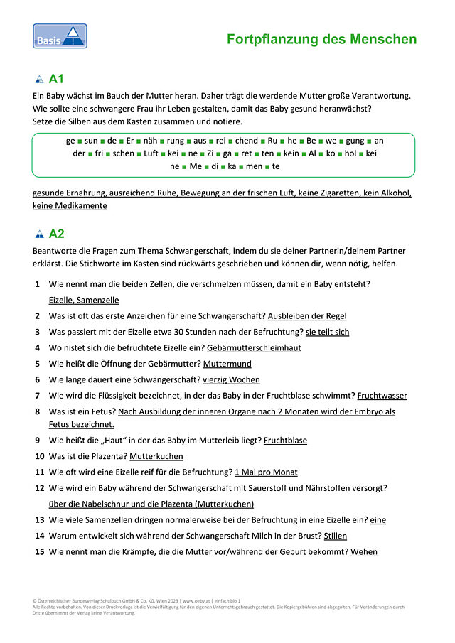 Schwangerschaft