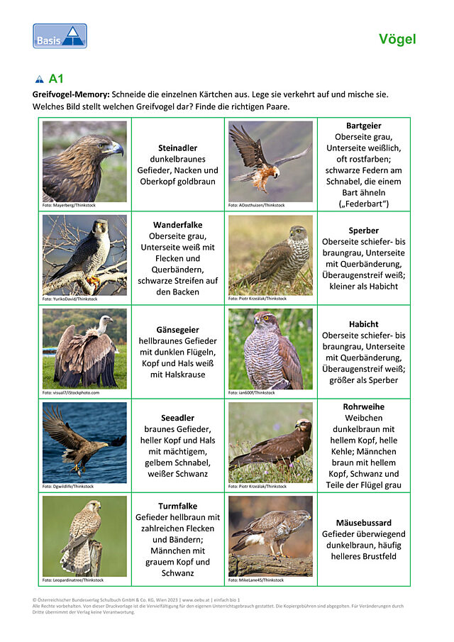 Greifvögel