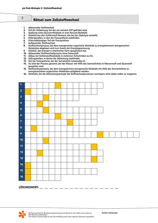 Rätsel zum Zellstoffwechsel