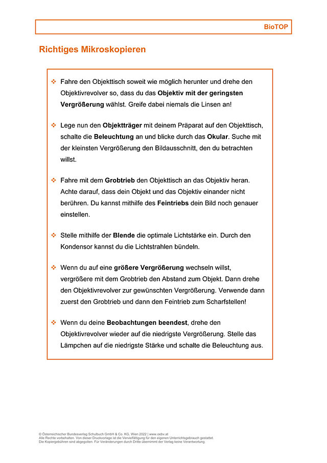 Richtiges Mikroskopieren