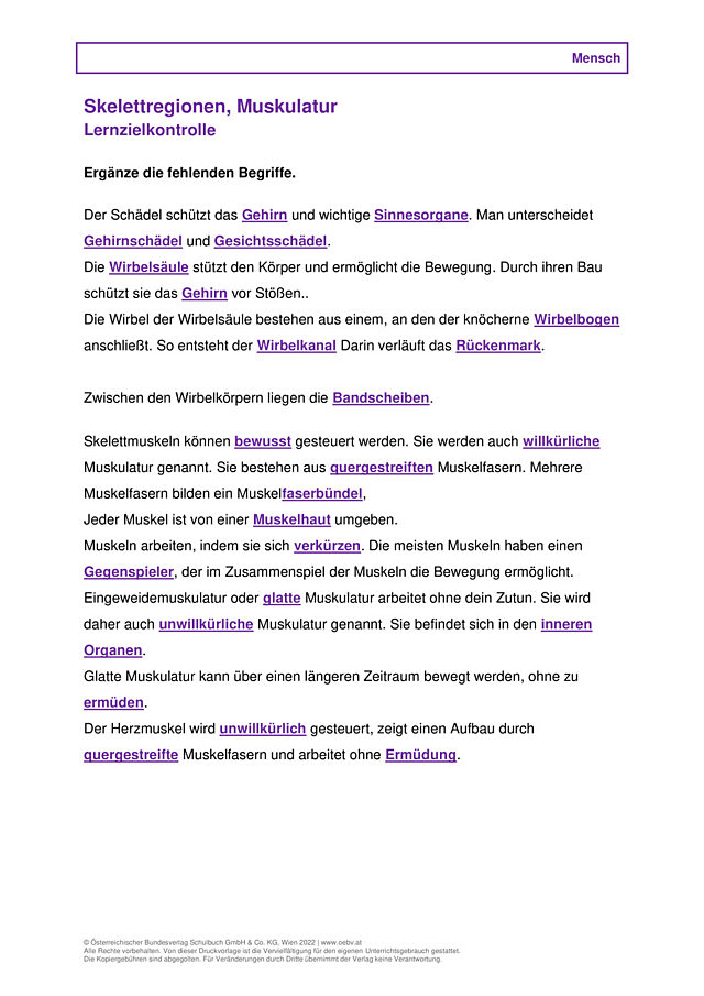 Skelettregionen, Muskulatur