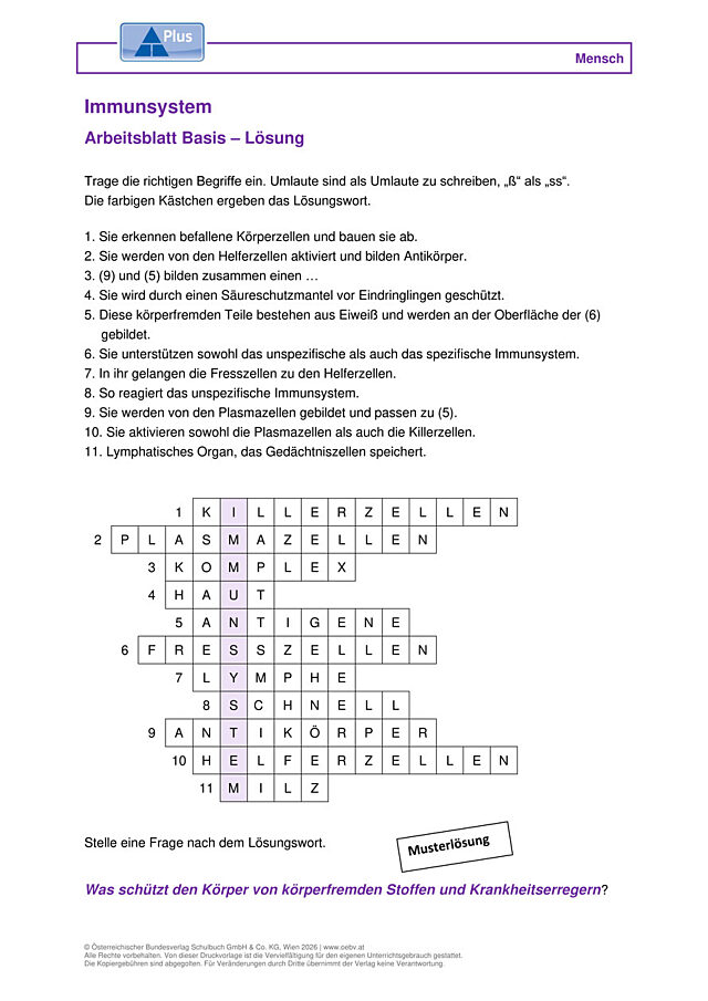 Immunsystem