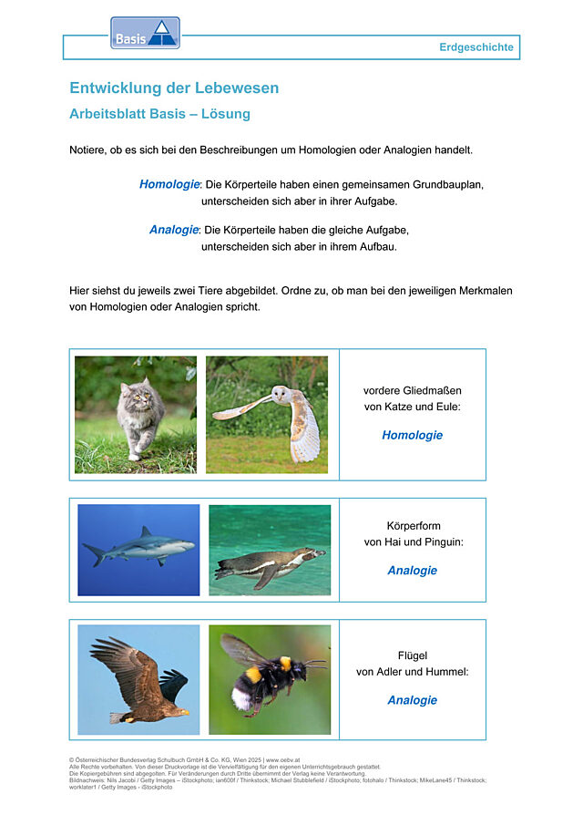 Entwicklung der Lebewesen