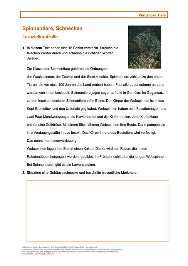 Wirbellose, Spinnentiere, Schnecken